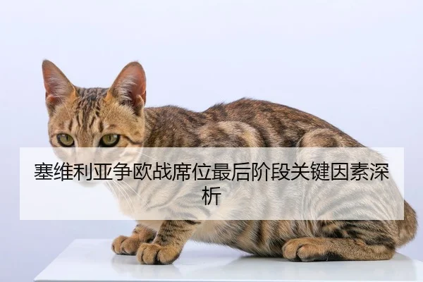 塞维利亚争欧战席位最后阶段关键因素深析 | QYH